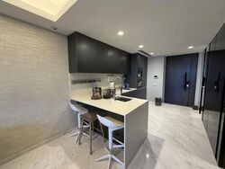 Cairnhill Nine (D9), Apartment #610392711